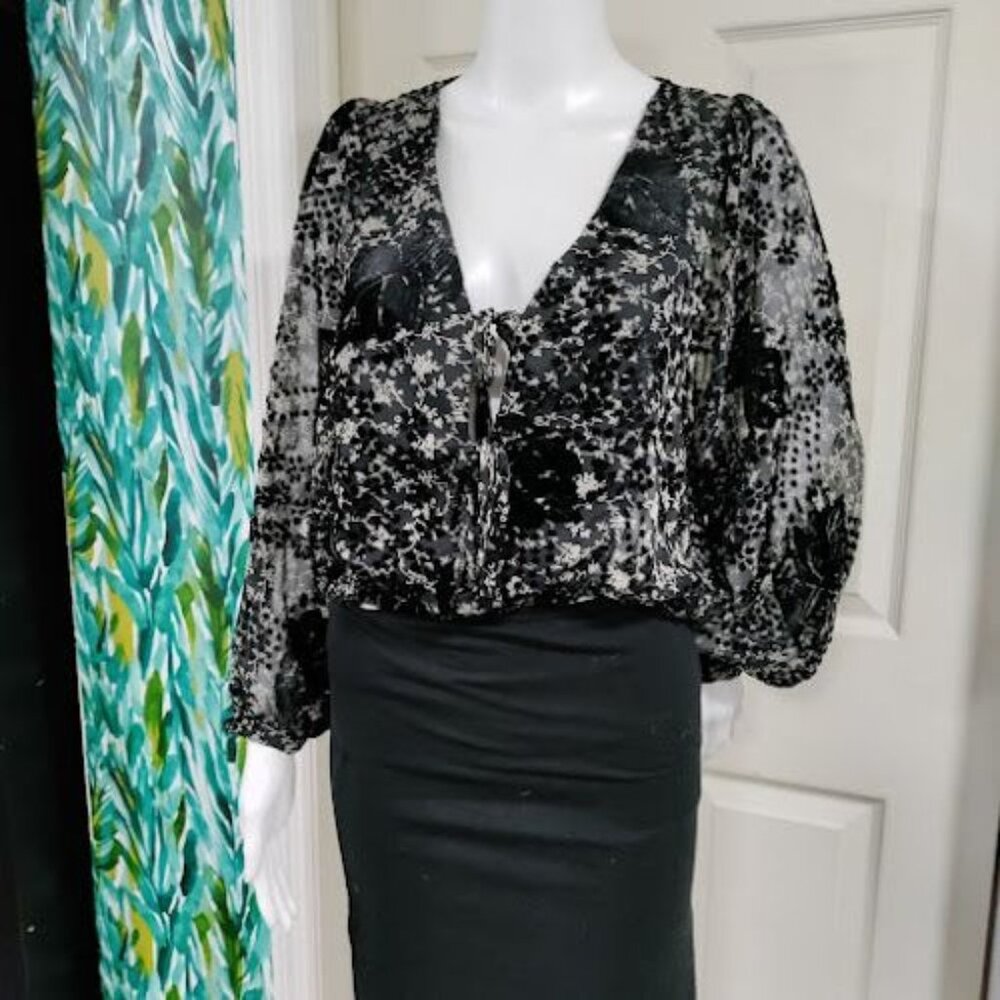 ASTR the label Velvet Burnout Shawna Abstract Velvet Cropped Sheer Floral Top S - Picture 4 of 12